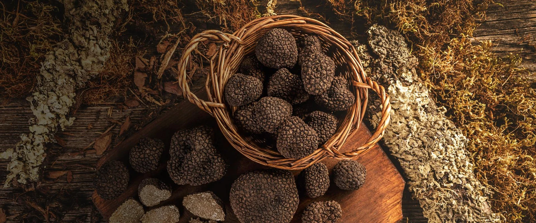 Boscovivo — Gastronomia gourmet